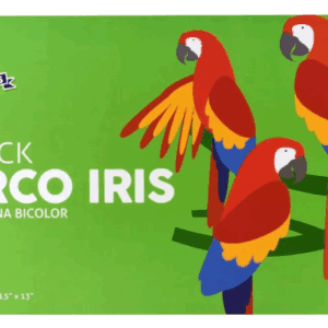 Block Arco Iris 24 Hojas Oficio